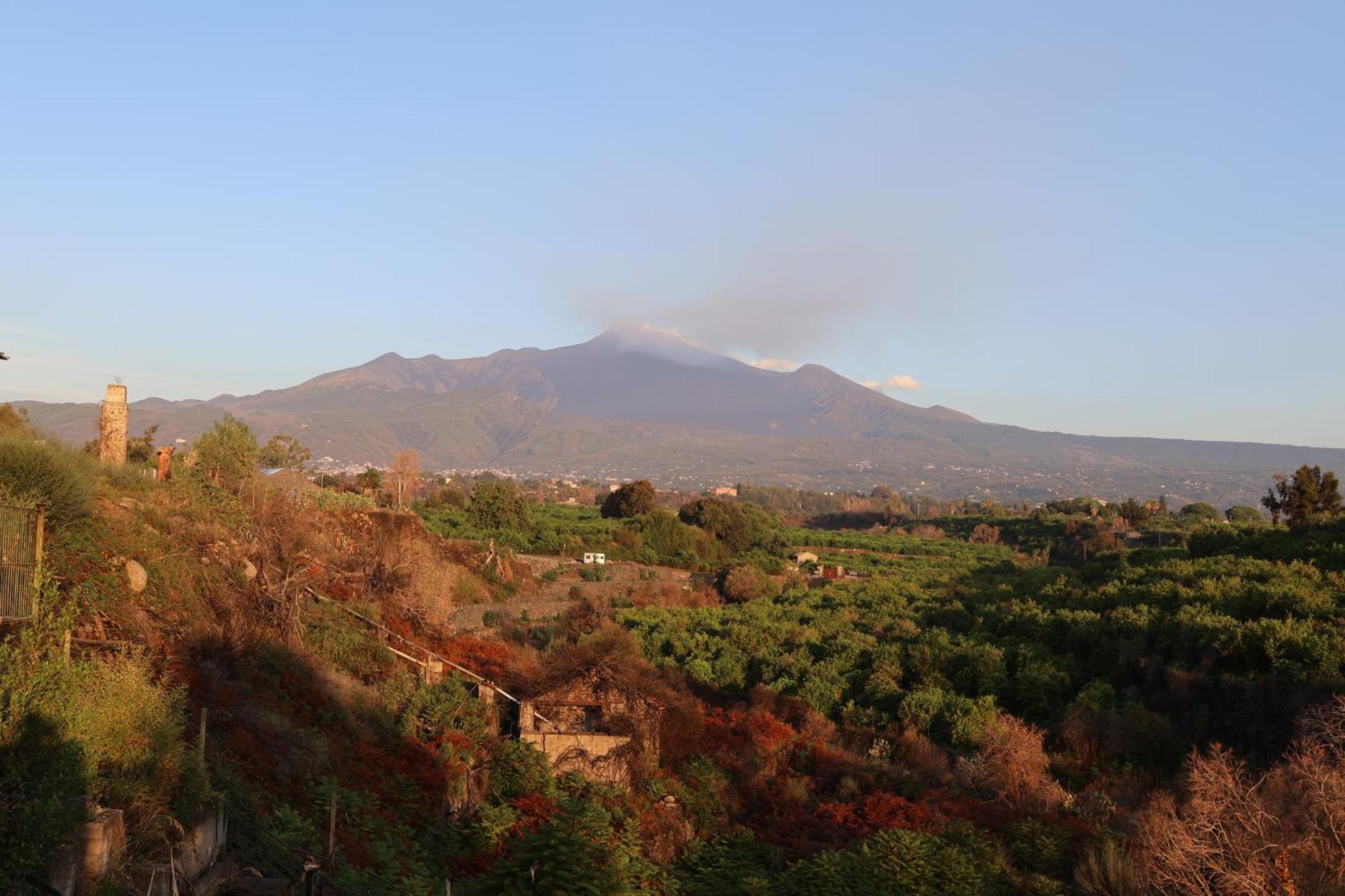 Il Pampaleone Glamping And Resort Acireale Eksteriør billede