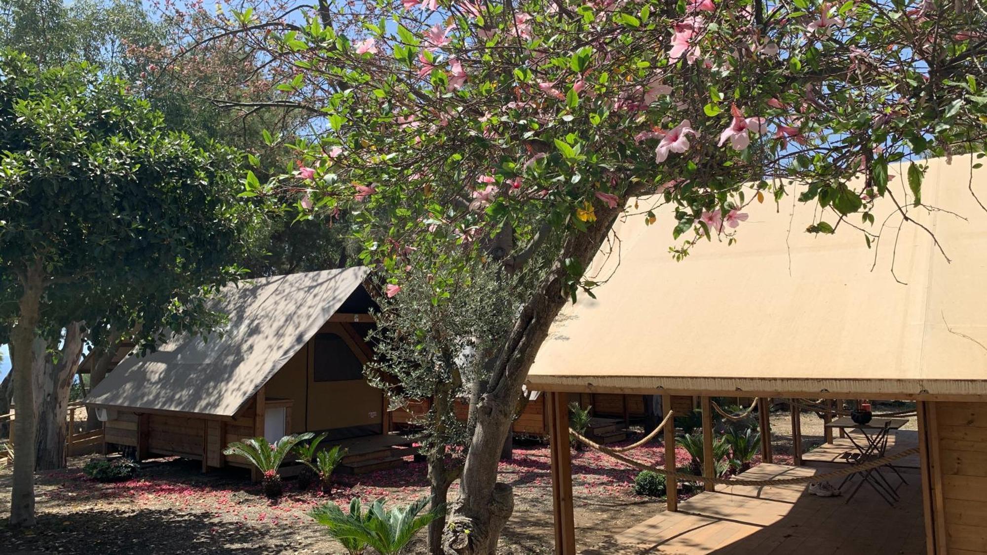 Il Pampaleone Glamping And Resort Acireale Eksteriør billede
